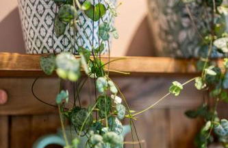 The Dovecot - Foto 8