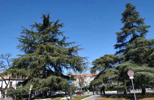 Apartamentos Deluxe Barajas - Foto 33