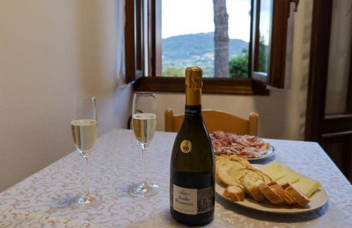 Tenuta da Mosè con vista sui colli asolani - Foto 7