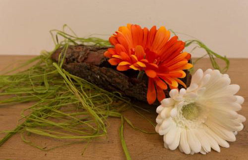 Alpenblick Nr 6 - Photo 18