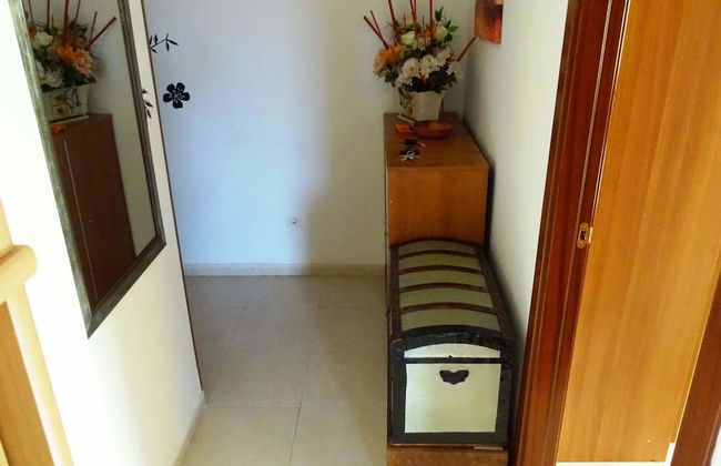 Esquirol Cambrils - Foto 15