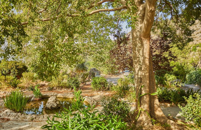 Agritourismo Alquería Blanca - Foto 80