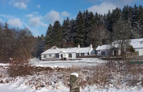 Castle Cottage with views of Kielder Castle - Foto 19