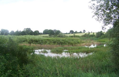 Naturcamp am See - Foto 10