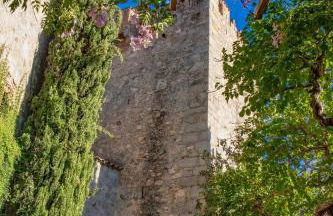 Castillo Meng - Foto 11