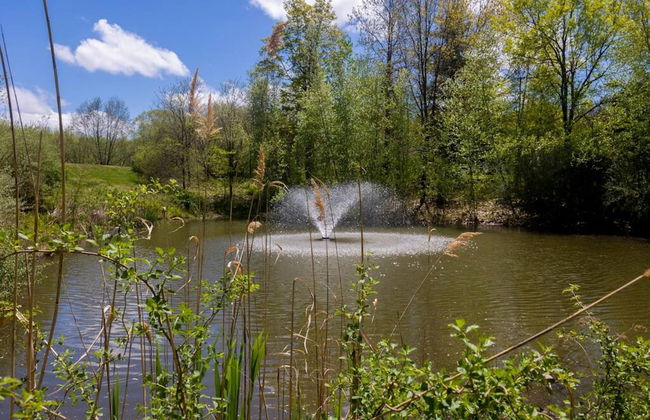 Tiny House 2 5 hrs NYC and Boston Waterfront Wifi - Foto 33