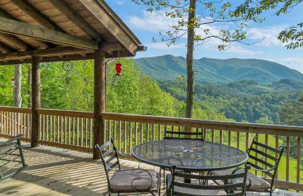 Mountain Top Cabin! Hot tub, Fireplace, Dog Friendly - Photo 2
