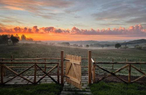 Agriturismo Poggio Degli Ulivi - Foto 9