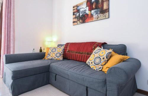 Prato Verde - Girasole - Foto 4