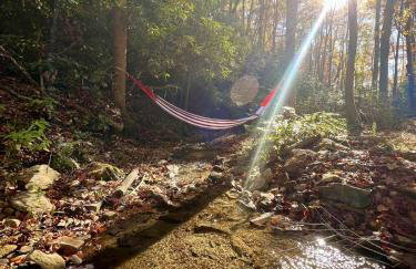 Creek side Mountain Perfect for Families ,We are just 5 to 7 minutes from the entrance of Pisgah Forest, where you ll find many rivers and waterfalls - Foto 6