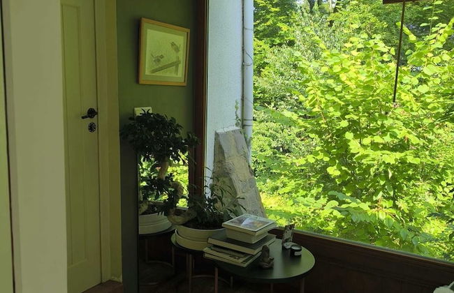 Charming Studio the Heart of the Forest - Foto 4