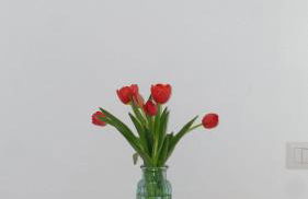 Augusto's House b&b - Foto 17