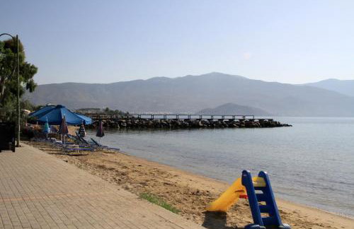 Hotel Stella - Photo 34