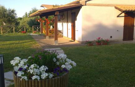 Agriturismo La Casa della Lavanda - Il Rustico - Foto 8