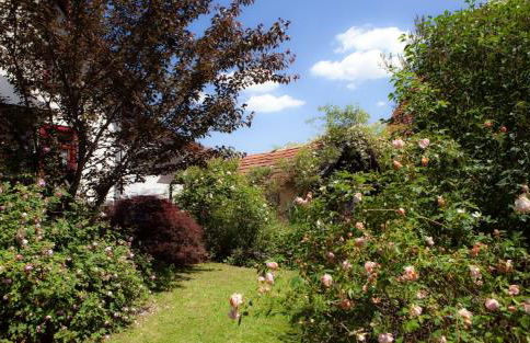 Historischer Vogtshof: eingezäunt | sonniger Garten | Kamin | Denkmalschutz - Foto 51