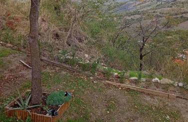 The Best Αγιου Χαραλαμπου - Foto 14