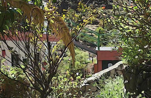 Apartamentos Nayara - Foto 33