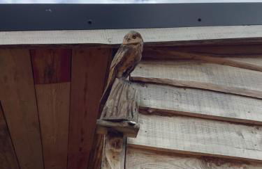 Oak ridge cabin - Foto 17