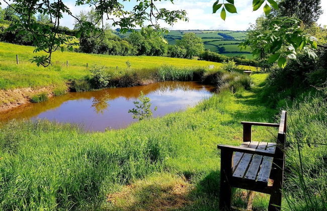 Eco Accommodation Cornflower Holiday - Foto 17