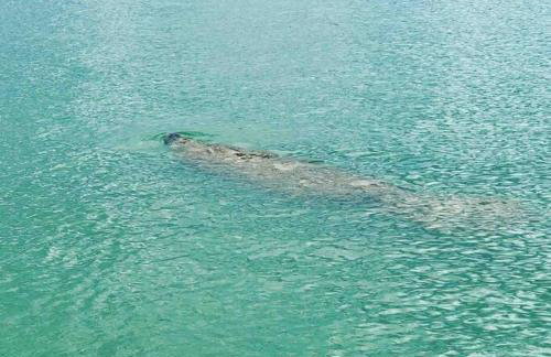 Goodland Waterfront Cottage - Foto 10