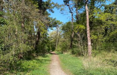 La petite maison rouge - Foto 17