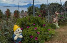 Thalantheia House - Photo 24