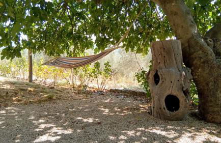 Sport Bikes and Nature - Foto 12