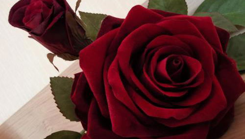 Ferienwohnung Moselblick - Photo 5