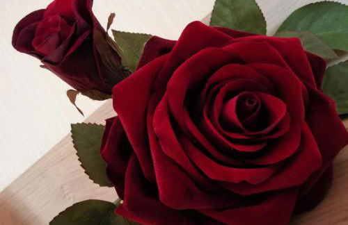 Ferienwohnung Moselblick - Photo 5