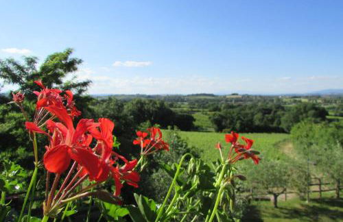 Poggio Olivo - Foto 63