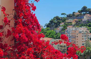 Kamira's Home casa vacanza Sanremo - Foto 22