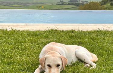 Agriturismo Sole - Foto 57