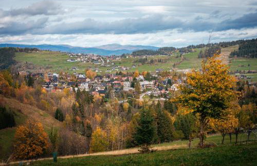 Apartamenty Dwupoziomowe Stasikowe Izby - Foto 3