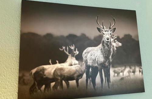 Comfortable City Appartement - Foto 7