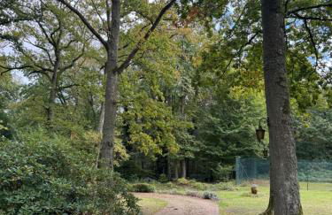 Country house in Forest of Rambouillet - Foto 22