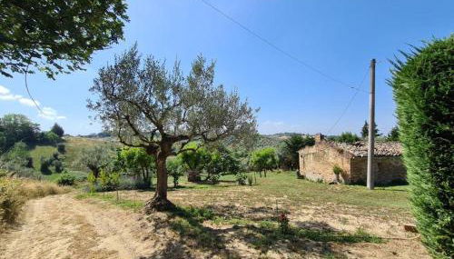 La Casetta in Collina - a pochi Km dal mare (Pe) - Foto 5