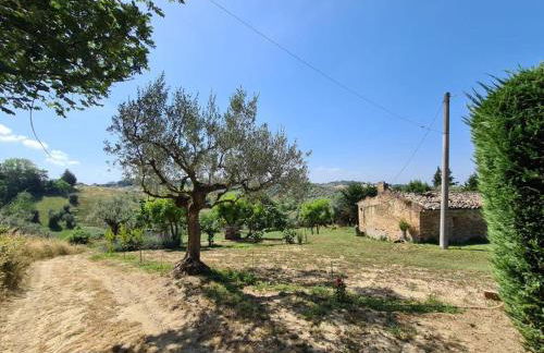 La Casetta in Collina - a pochi Km dal mare (Pe) - Foto 5