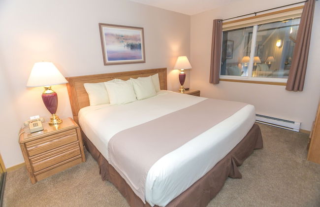 The Grey Gull - Foto 65