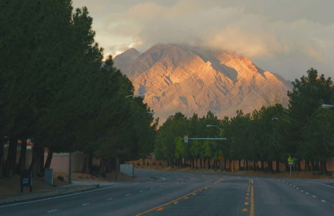 Day Trip to Mt. Charleston - Photo 3