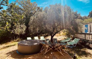 Small Provencal Castle with Swimming Pool, Tennis, Gym & Calm - Foto 7