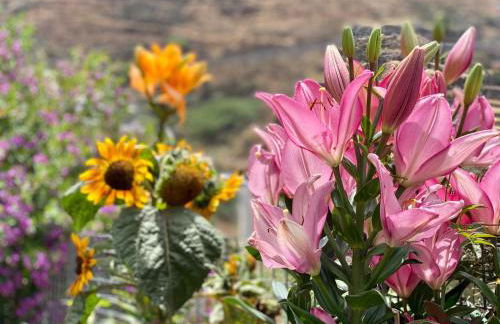 Juncalillo House - Foto 32