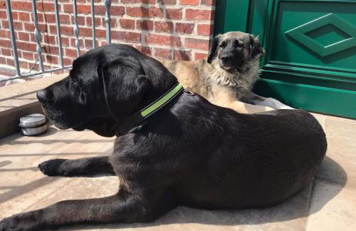 Das Landhaus Wohnung 2 - Photo 18