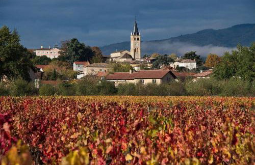 Moulin à Vent Studio Cosy - Foto 13