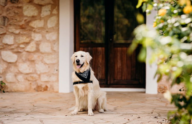 Agroturismo Can Guillem - Foto 72