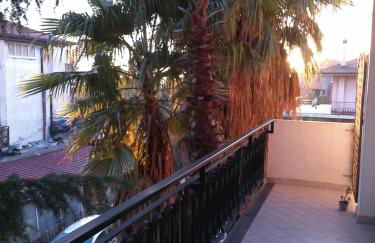 Greenhouse - Foto 59