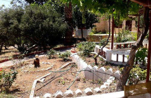 Sunrise Apartments - Photo 43