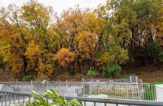 Deus silva - Photo 1