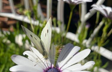 Villa Castillo Moro - Foto 36