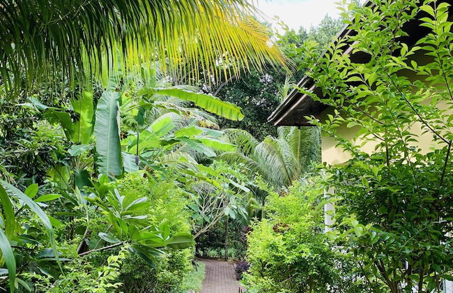 OSoleil Guesthouse - Foto 48