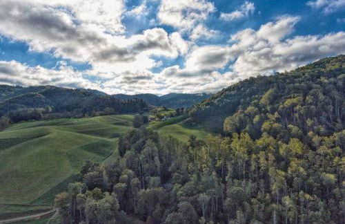 Petting Zoo! Hot Tub, 15 acres, stream & Romance! - Foto 6